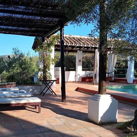 Villa Carmen Magnificent Country House In Serrania Ронда Экстерьер фото